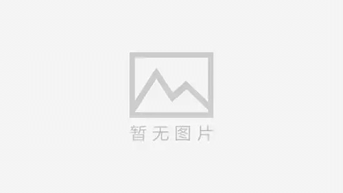 三沙的失散之翼：一家寻人公司的真实故事